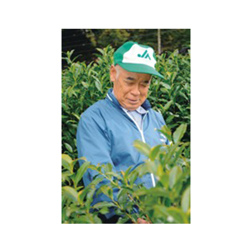 【2025年05月05日以降発送予定】缶入り 手摘み宇治新茶