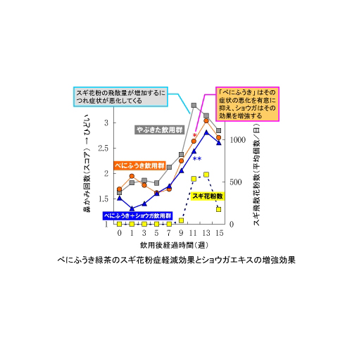 粉末緑茶  べにふうき