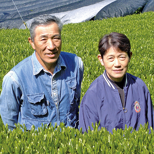 宇治田原茶セット